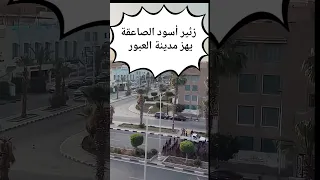 أسود الصاعقة في سباق ضاحية في الشارع بين الناس   إسرائيل خيال مآتة     إسرائيل تحت البيادة دندنها