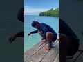Download Lagu Mancing ikan didermaga pantai,dapat ikan ini🤤 #66  #KOOKIKO