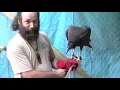 Snoopy The Vulture segment from Magickal World