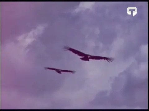 31 de octubre día del escudo nacional del Ecuador