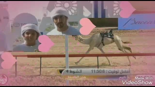 قصيدة في تكريم هجن العاصفة دندنها