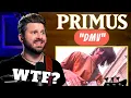 Bass Teacher REACTS to PRIMUS - DMV