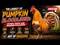 Pumpkin Bloodlines History Traits and Breeding Excellence