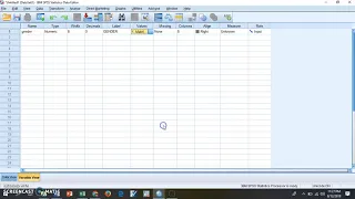 how to analyze categorical-gender data SPSS