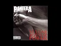 Pantera - Regular People (Conceit)
