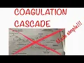 COAGULATION CASCADE IN VIVO IN VITRO MADE SIMPLE D N Medical Series