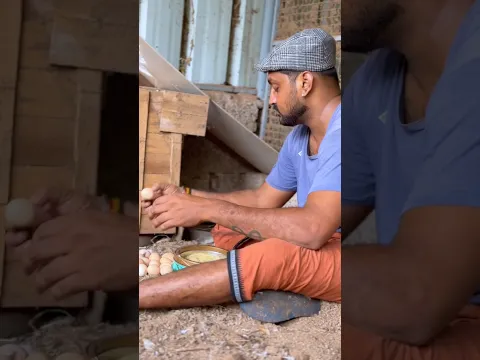 കോഴിയെ അട വയ്ക്കാം #shorts