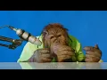 Lagu orangutan asmr | Orang Utan ASMR