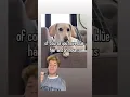 LEAVE THE DOG ALONE