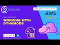 Creating Tables and Loading Data into DynamoDB Tables