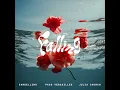 Paco Versailles - Falling (with Cardellino & Julia Church) [Audio]