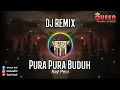 Download Lagu DJ REMIX PURA PURA BUDUH - RAY PENI