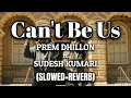 Cant Be Us (Slowed+Reverb) PREM DHILLON ft Sudesh Kumari  Latest Punjabi Songs 2025