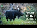 Understanding Washington s special hunt opportunities