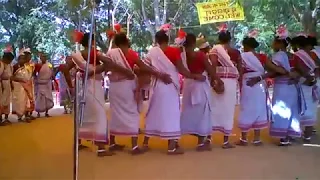 mundari cultural dance