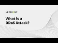 What is a DDoS Attack