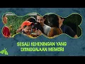 Mawar de Jongh - Tinggal (Original Soundtrack 'Tinggal Meninggal') | Official Lyric Video