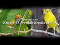 Download Lagu MASTERAN 2 IN 1 Kenari VS Prenjak Kepala Merah