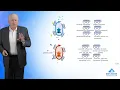 How Neurotransmitters Are Transported Psychotropic Transporters