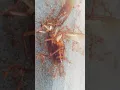 Download Lagu The ants attacked## the large creature . There is strength in unity.