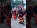 Download Lagu kenangan seribu barong #arekbudoyo #jaranan
