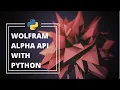 How to use The Wolfram Alpha API in Python Build an Assistant under 7 minutes