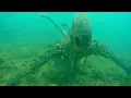 Download 10 Most TERRIFYING Objects Found In The Deep Sea! mp4 3gp mp3 videos - waplic