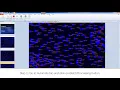Batch processing Celleste Image Analysis Software
