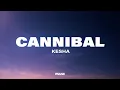 Download Lagu Kesha - Cannibal (Lyrics)