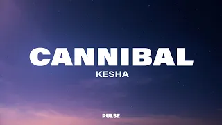 Kesha Cannibal Lyrics 