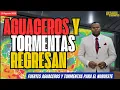 Download Lagu 20 AGOSTO. ATENTOS. ESTA TARDE VUELVEN LOS AGUACEROS Y TORMENTAS
