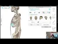 Download Lagu 12 Tulang Rusuk Manusia (Costae) | 3D Anatomy