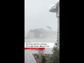 Strong storms whip trees in west Boynton Beach