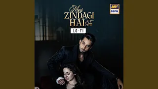 meri zindagi hai tu lo fi 