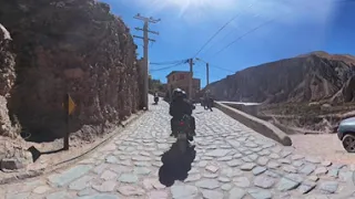                            دندنها