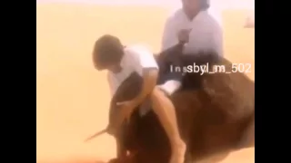 شيله ذبح القعدان دندنها
