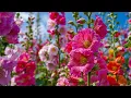 Download Lagu The Most Beautiful Relaxing Music in the World🍀A Break for the Mind to Forget Fatigue and Find Peace