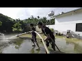 Download Lagu FLOOD RELIEF: CLEAN \u0026 REBUILD