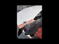 2022 Mercedes GLC Windshield Cutout