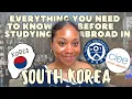 Study Abroad Q A South Korea Yonsei University CIEE Seoul Advice Tips Experience
