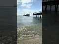 Today the ocean is clean and flat Our beautiful ocean is back