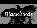 Download Lagu Blackbirds - MRKTS | Sub español