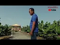 Download Lagu Pancuran Cinta. Cover By EkaAhmaD