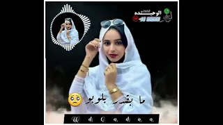 بله ود الاشبه شالو قلبي شالو 