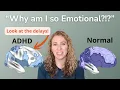The Neuroscience of AD and Emotional Dysregulation