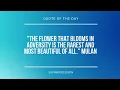 Ukulele Tab: How to play Perfect Melody by Jonas Blue ft Julian Perretta