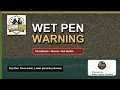 Wet Pens Coccidiosis Worms The Gut Health Check Every Poultry Owner Needs