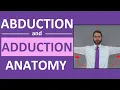 Abduction and Adduction of Wrist Thigh Fingers Thumb Arm Anatomy Body Movement Terms