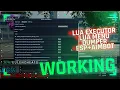 FiveM Lua Executor working undetectable no global ban ESP Aimbot Lua Menu by Eulen Cheats