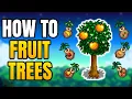 Stardew Valley - How To Grow Fruit Trees How To Get Tree Saplings Plant Them